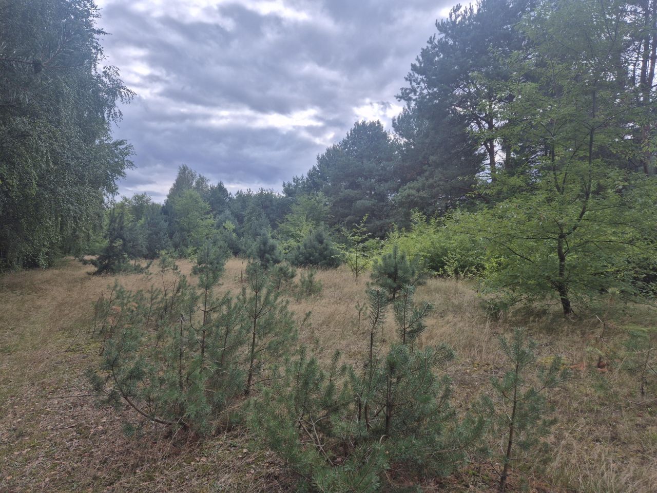 Działka budowlana Kurnos Drugi. Zdjęcie 8