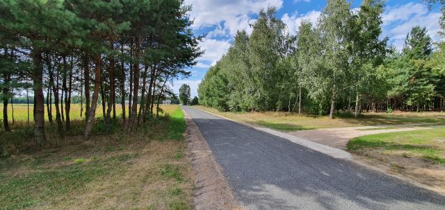 Działka budowlana Dębniaki. Zdjęcie 1