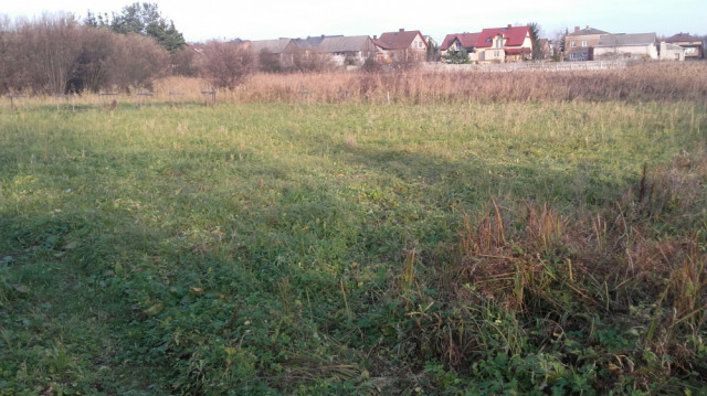 Działka rolno-budowlana Niegowonice. Zdjęcie 1