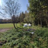 Działka budowlana Pokrzywnica. Zdjęcie 4