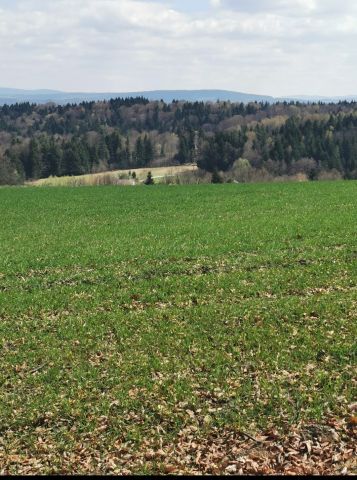 Działka rolno-budowlana Klecza Dolna Łysa Góra, ul. Konwaliowa. Zdjęcie 1