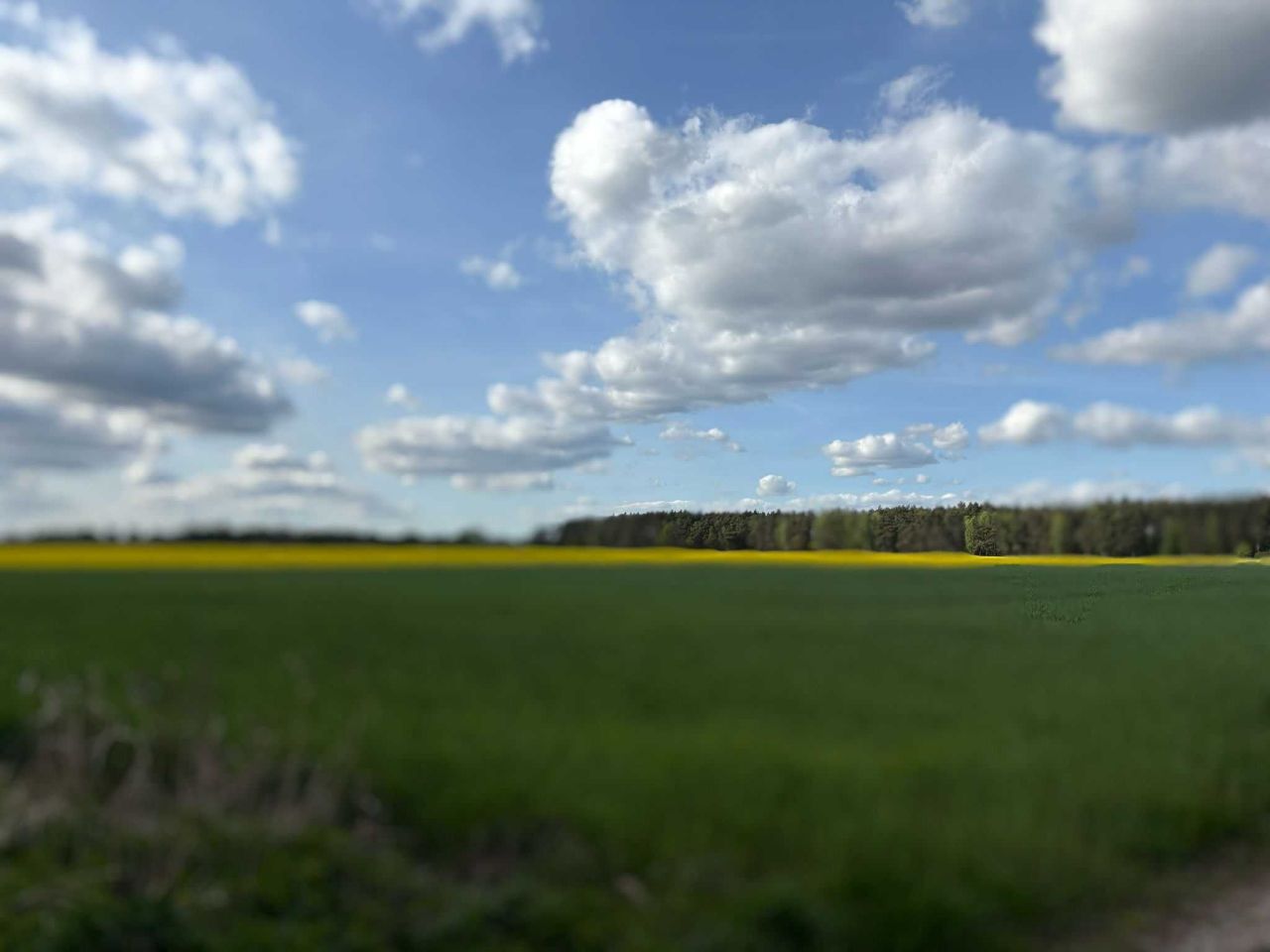 Działka budowlana Jabłkowo. Zdjęcie 7