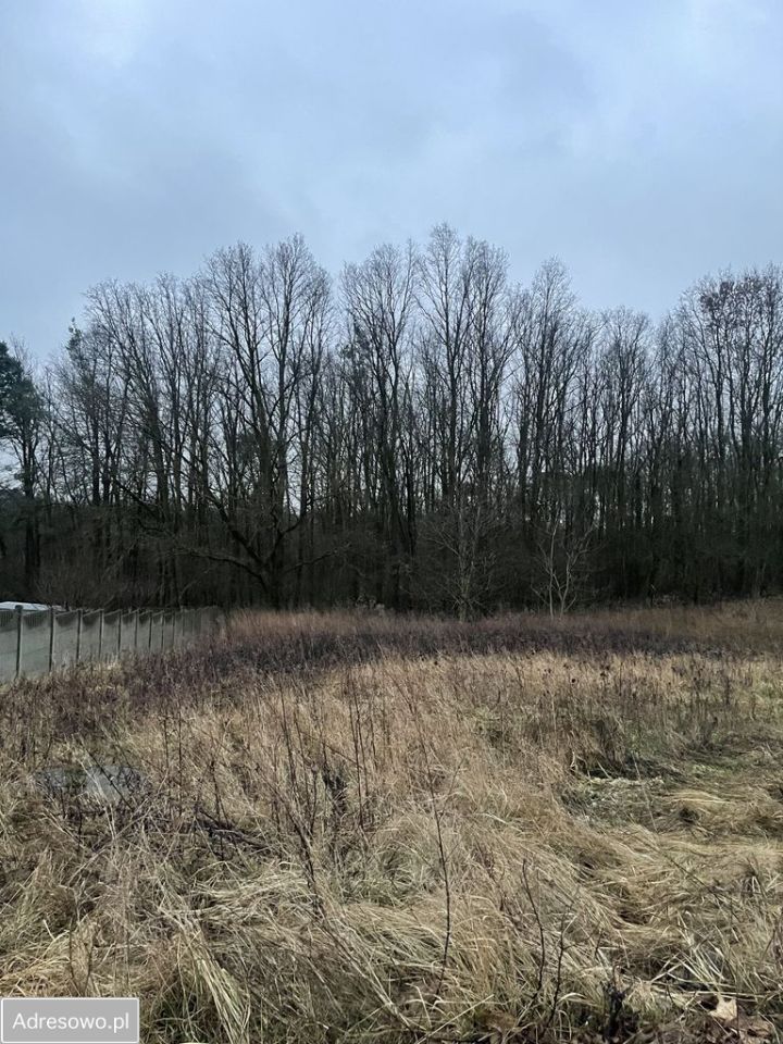 Działka budowlana Piaski, ul. Klonowa