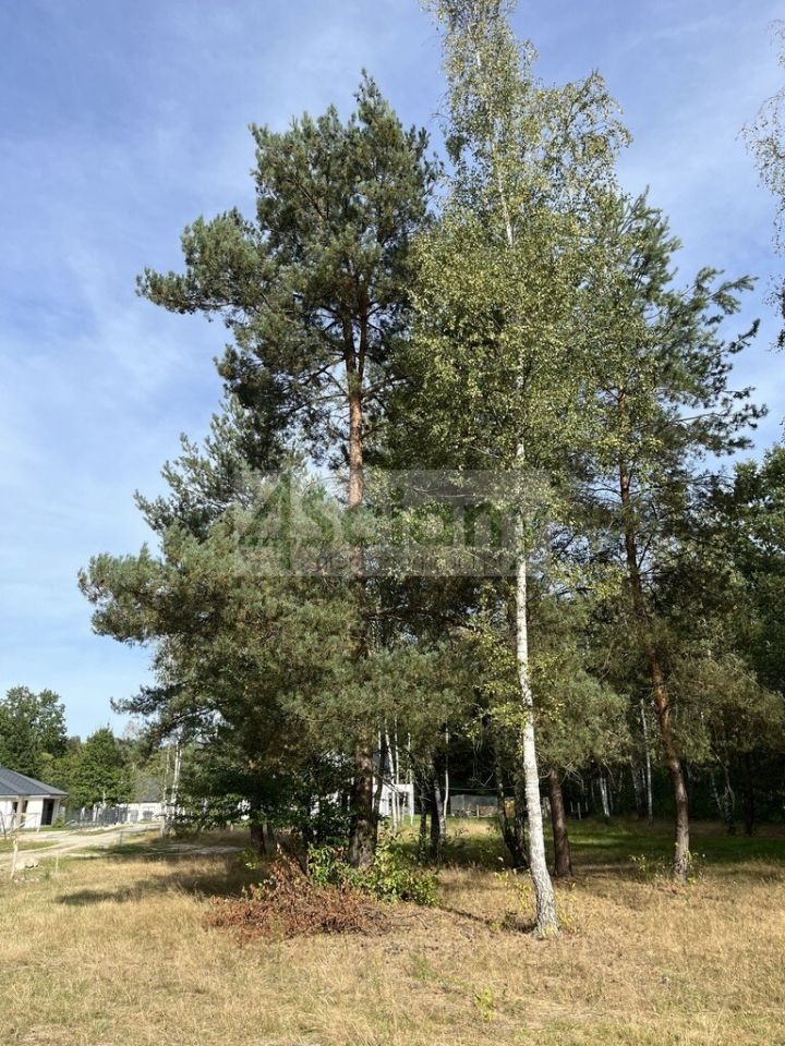 Działka budowlana Adamowizna. Zdjęcie 5