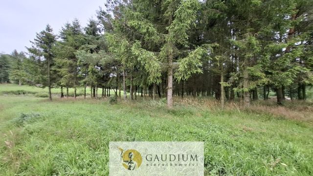 Działka budowlana Pomlewo. Zdjęcie 12