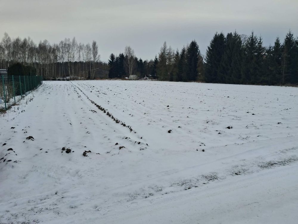 Działka budowlana Parchów. Zdjęcie 2