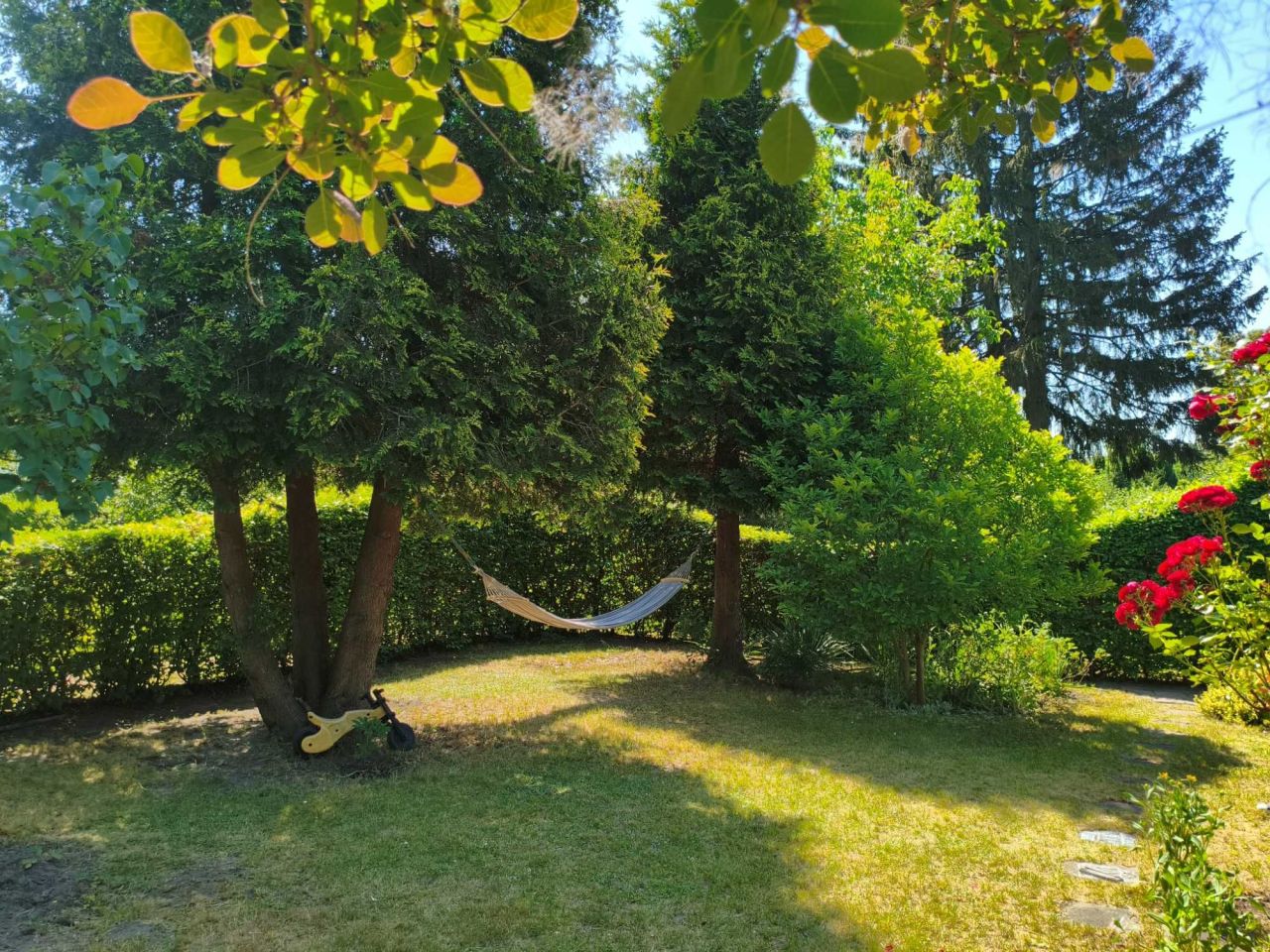 Działka rod Łódź Bałuty, ul. Źródłowa. Zdjęcie 7