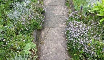 Działka rod Żywiec, ul. Dworcowa