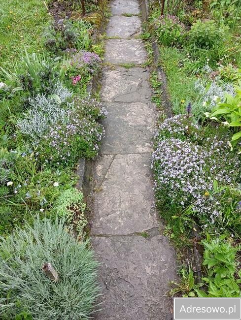 Działka rod Żywiec, ul. Dworcowa. Zdjęcie 2