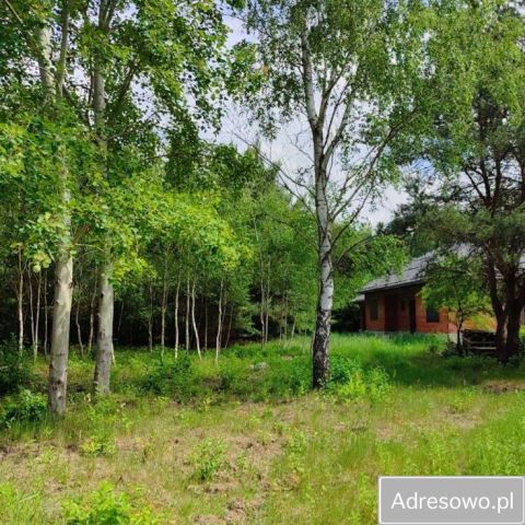 Działka budowlana Dobieszków. Zdjęcie 1