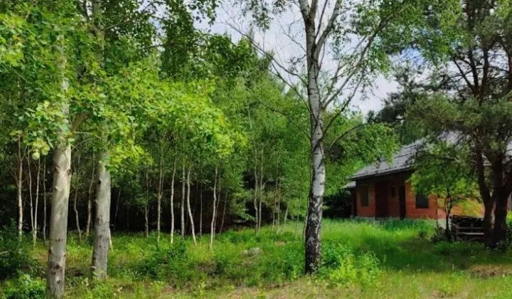 Działka budowlana Dobieszków