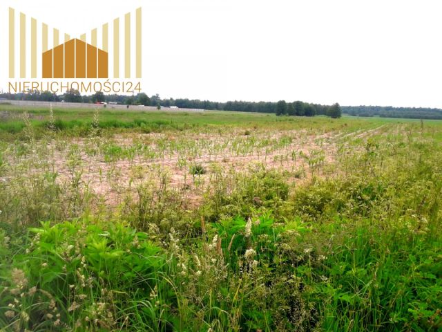 Działka rolna Cegłów. Zdjęcie 5