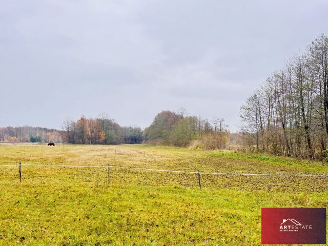 Działka rekreacyjna Nowy Adamów. Zdjęcie 2