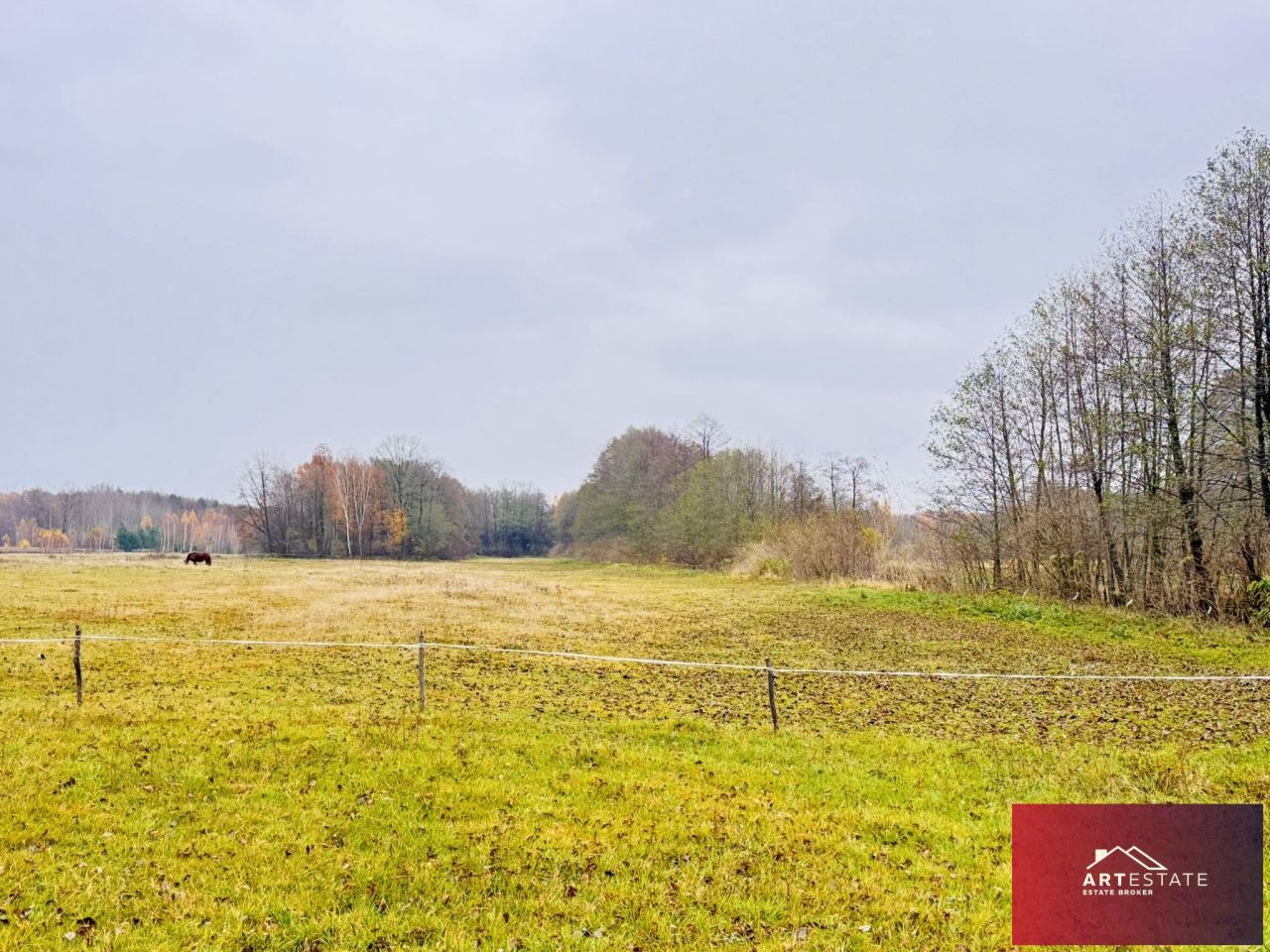 Działka rekreacyjna Nowy Adamów. Zdjęcie 2