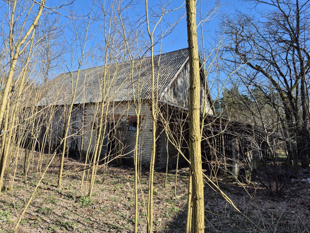 Działka siedliskowa Kuczki. Zdjęcie 6