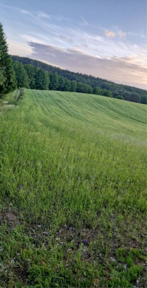 Działka budowlana Piechowice. Zdjęcie 2