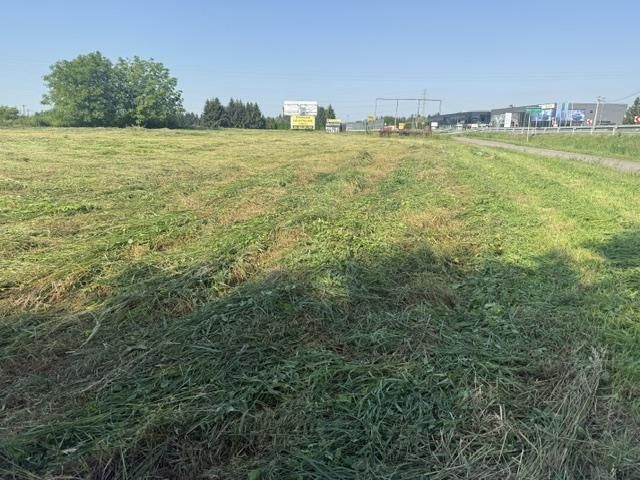 Działka inwestycyjna Mikołajowice. Zdjęcie 1