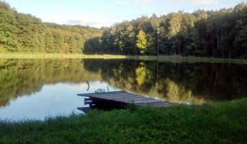 Działka rolno-budowlana Golczewo
