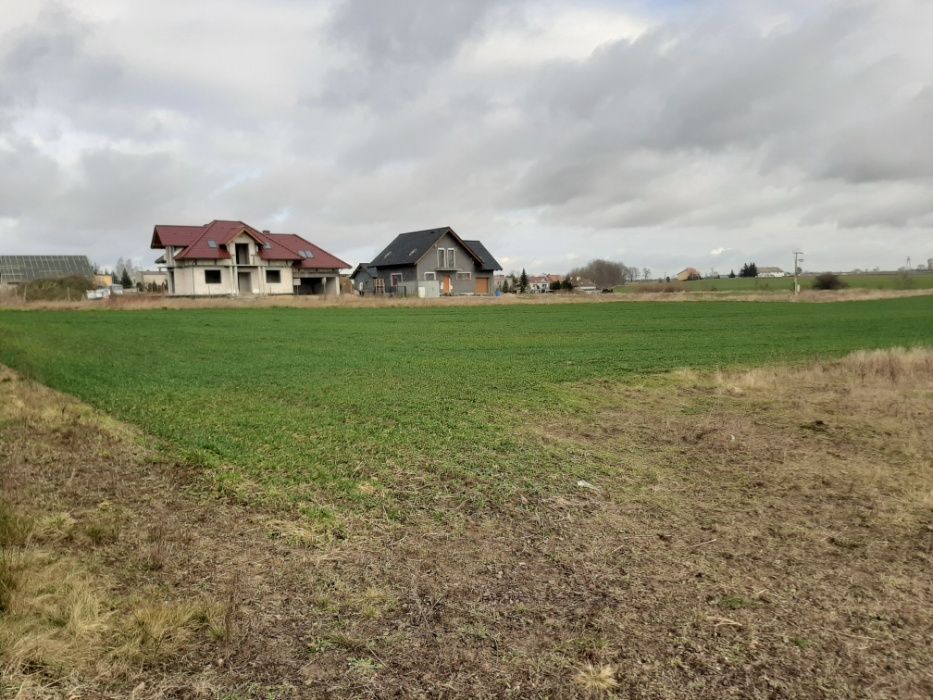 Działka budowlana Mogilno, ul. Adama Asnyka. Zdjęcie 4