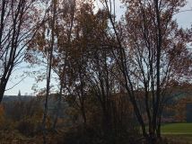 Działka rolno-budowlana Pławna Dolna. Zdjęcie 1