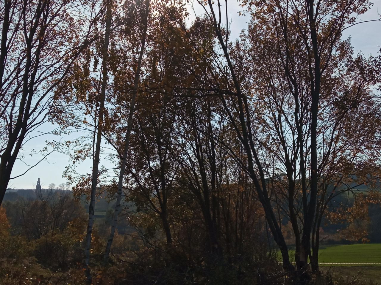 Działka rolno-budowlana Pławna Dolna. Zdjęcie 2