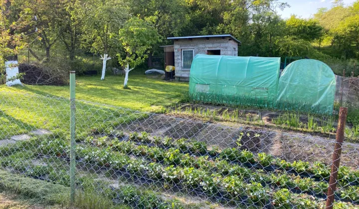 Działka rod Szczecin Skolwin