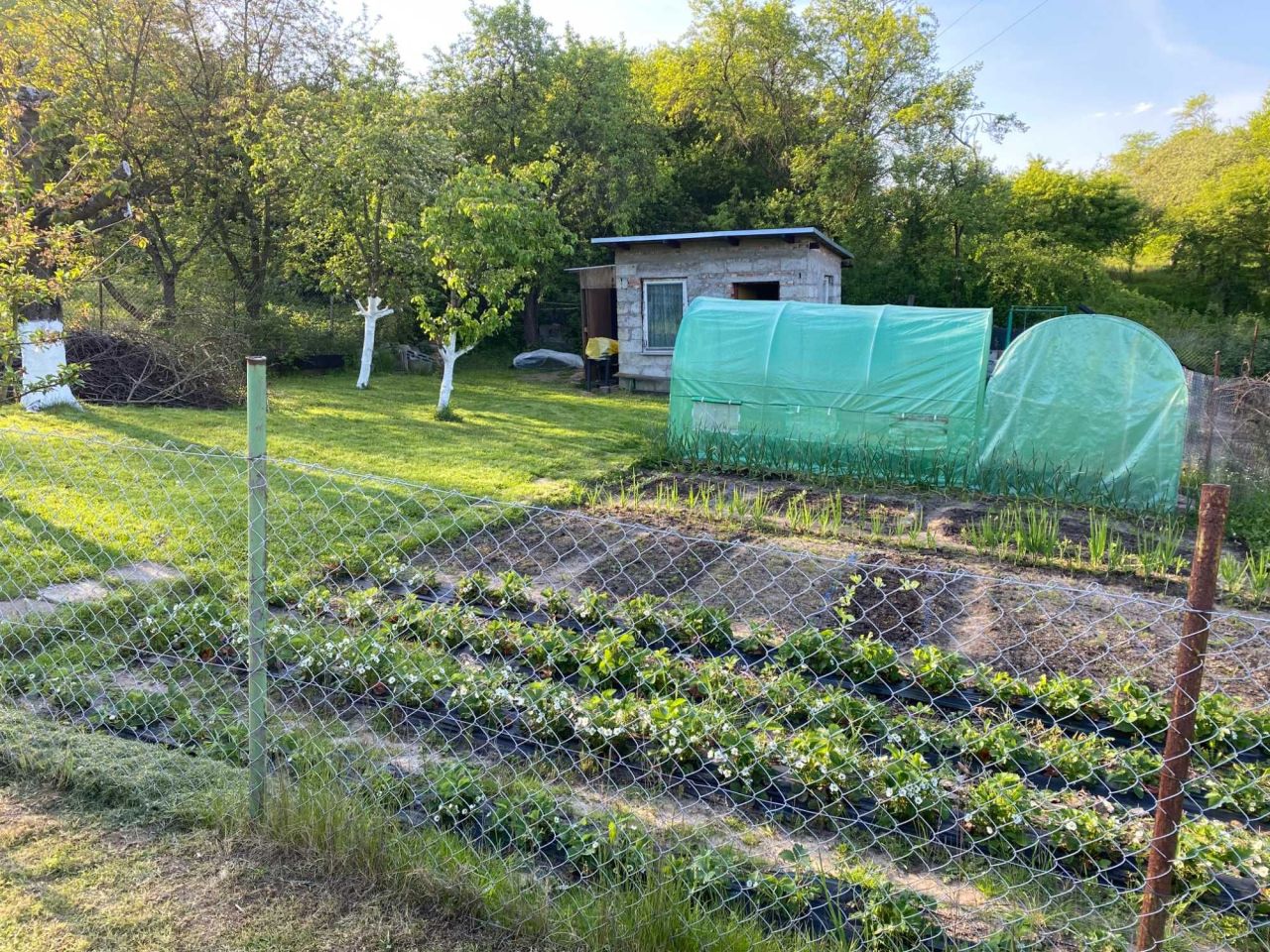 Działka rod Szczecin Skolwin. Zdjęcie 1