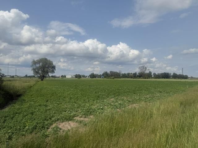 Działka rolna Brwinów, ul. Łąkowa. Zdjęcie 3