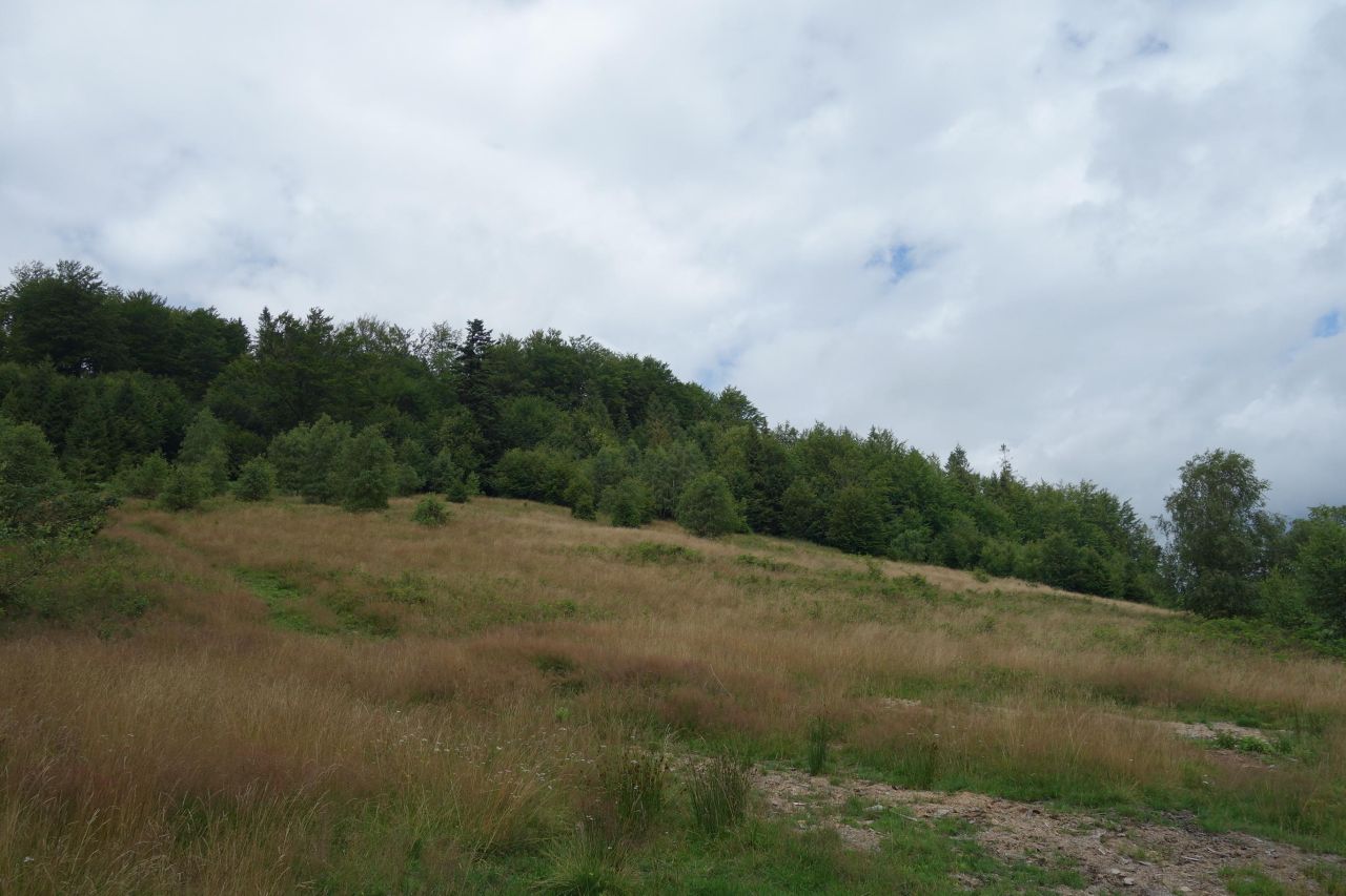 Działka inwestycyjna Brenna Leśnica, ul. Orłowa. Zdjęcie 3