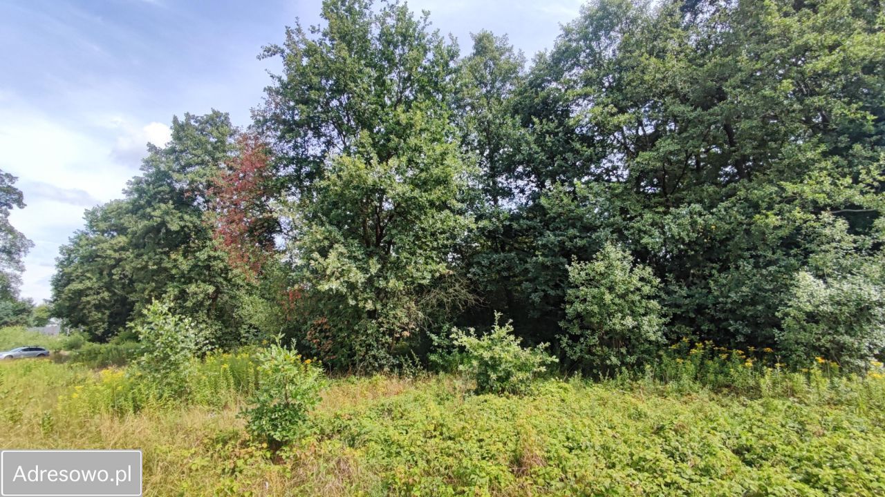 Działka rolna Secymin Polski. Zdjęcie 4