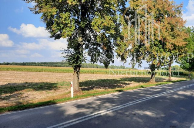 Działka rolna Rudno. Zdjęcie 8