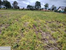 Działka rolno-budowlana Zebrzydów. Zdjęcie 3