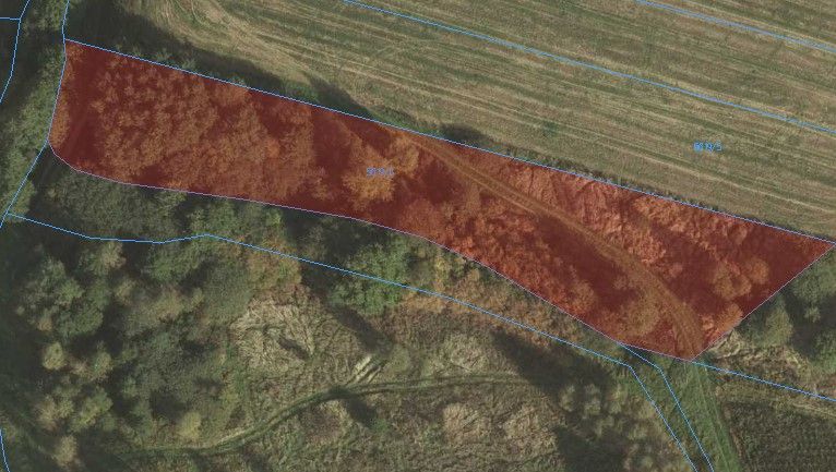 Działka rekreacyjna Wysoka Strzyżowska Dział. Zdjęcie 2