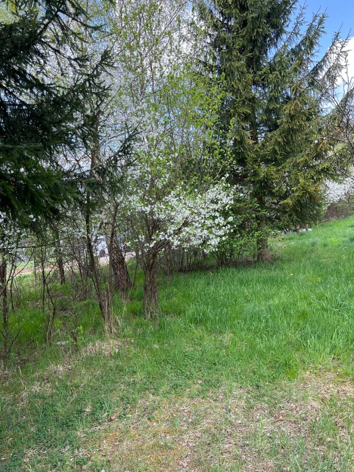 Działka budowlana Maków Podhalański, ul. Łąkowa. Zdjęcie 9