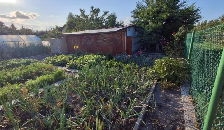 Działka rod Ostrowiec Świętokrzyski, ul. Marii Dąbrowskiej