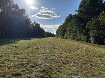 Działka rolno-budowlana Rydzów. Zdjęcie 2