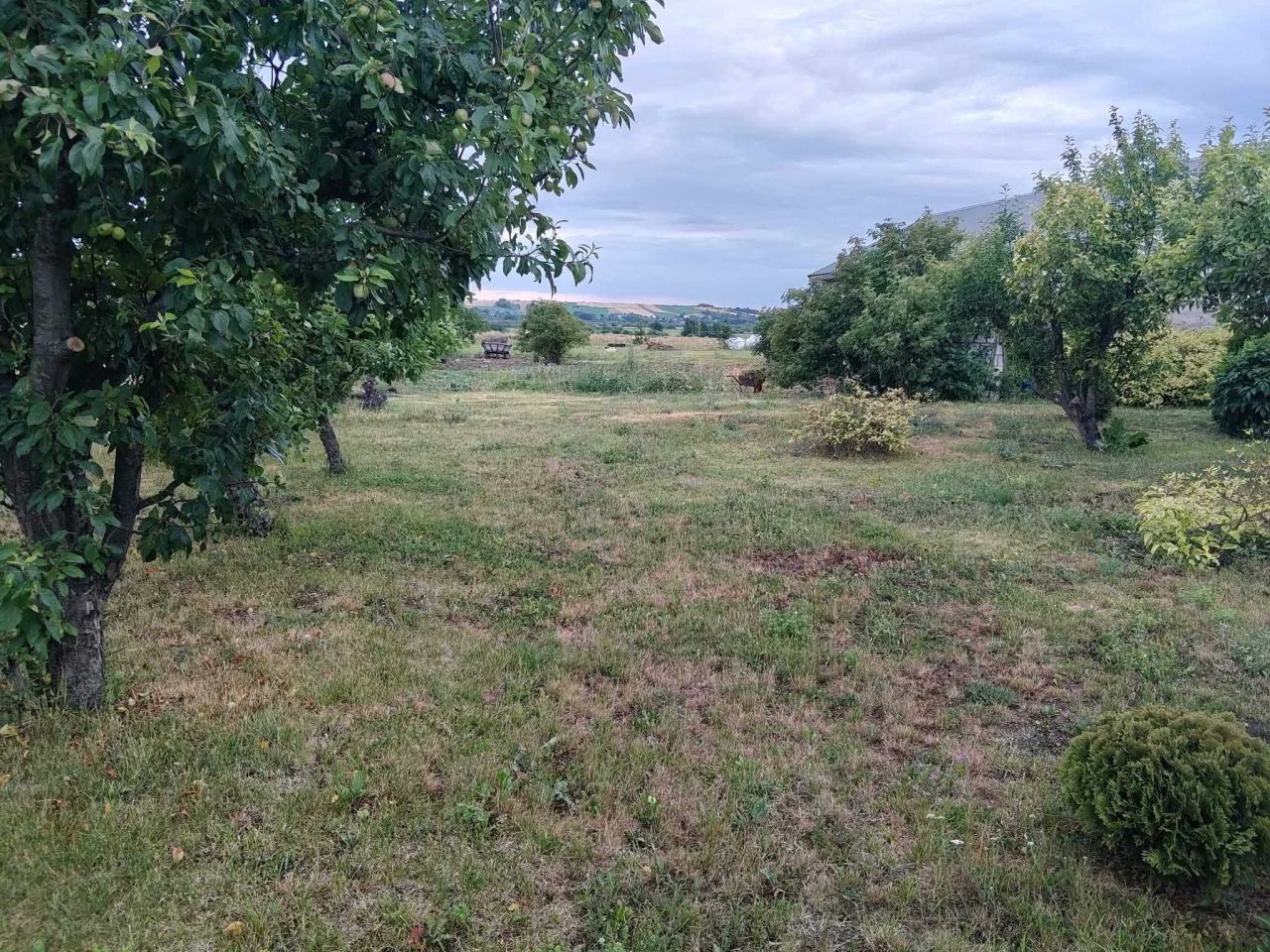 gospodarstwo Śniatycze. Zdjęcie 8