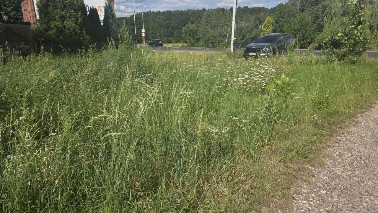 Działka budowlana Orzesze Zawada, ul. Rybnicka. Zdjęcie 2