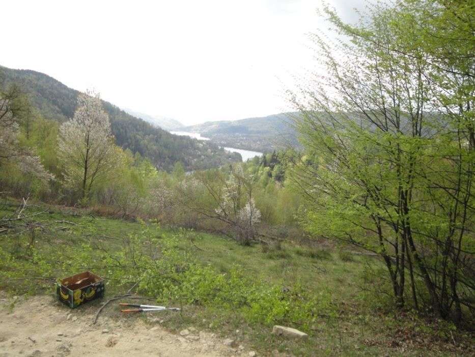 Działka budowlana Międzybrodzie Bialskie Żarnówka Mała. Zdjęcie 3