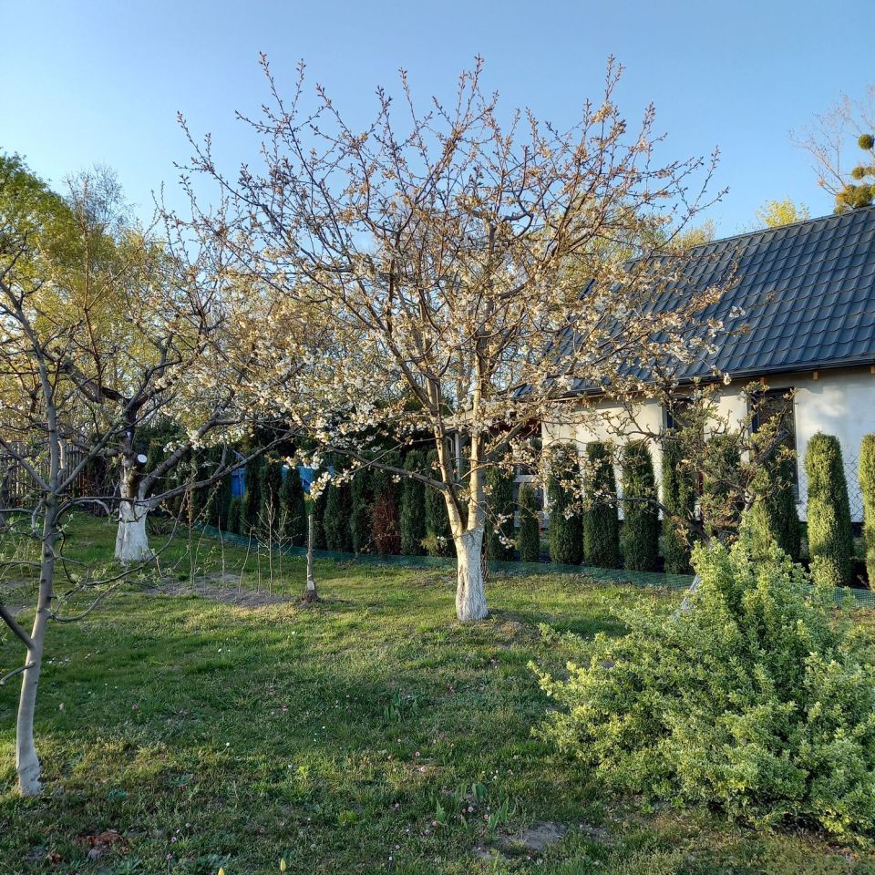 Działka budowlana Kamionek Wielki. Zdjęcie 1