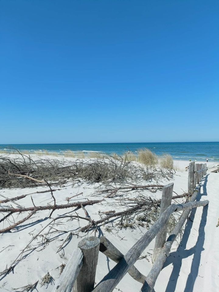 Działka rolna Sasino, ul. Wiatrowa. Zdjęcie 2