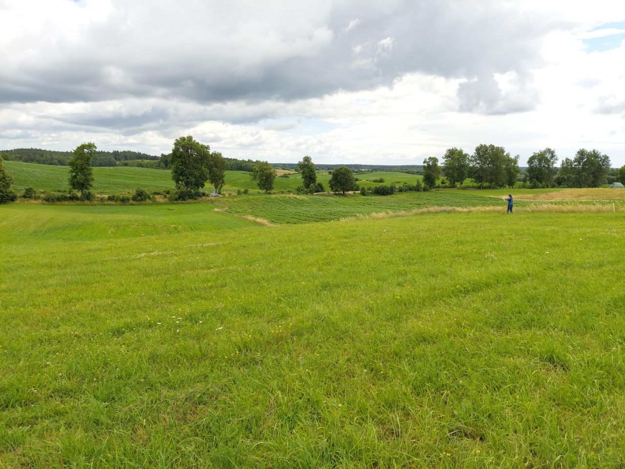 Działka rolno-budowlana Rogale. Zdjęcie 2