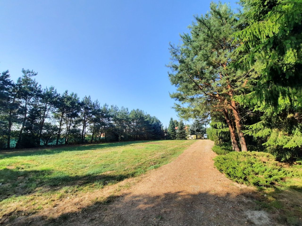 dom wolnostojący Niedźwiada. Zdjęcie 3