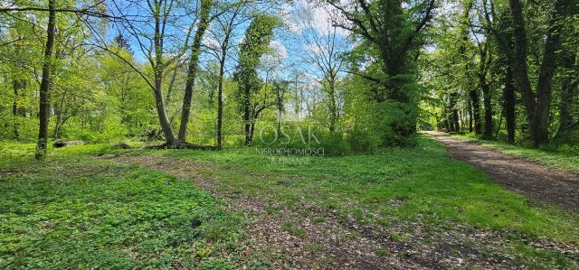 Działka Resko. Zdjęcie 9