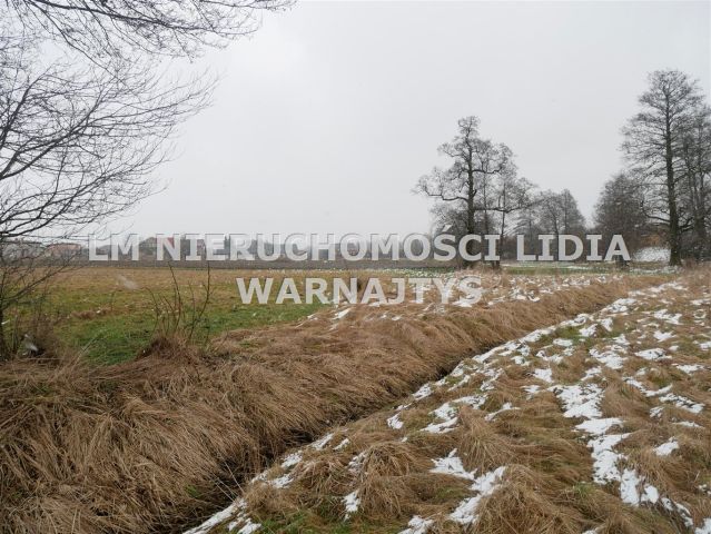 Działka Książenice. Zdjęcie 2