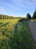 Działka rekreacyjna Sochy. Zdjęcie 2
