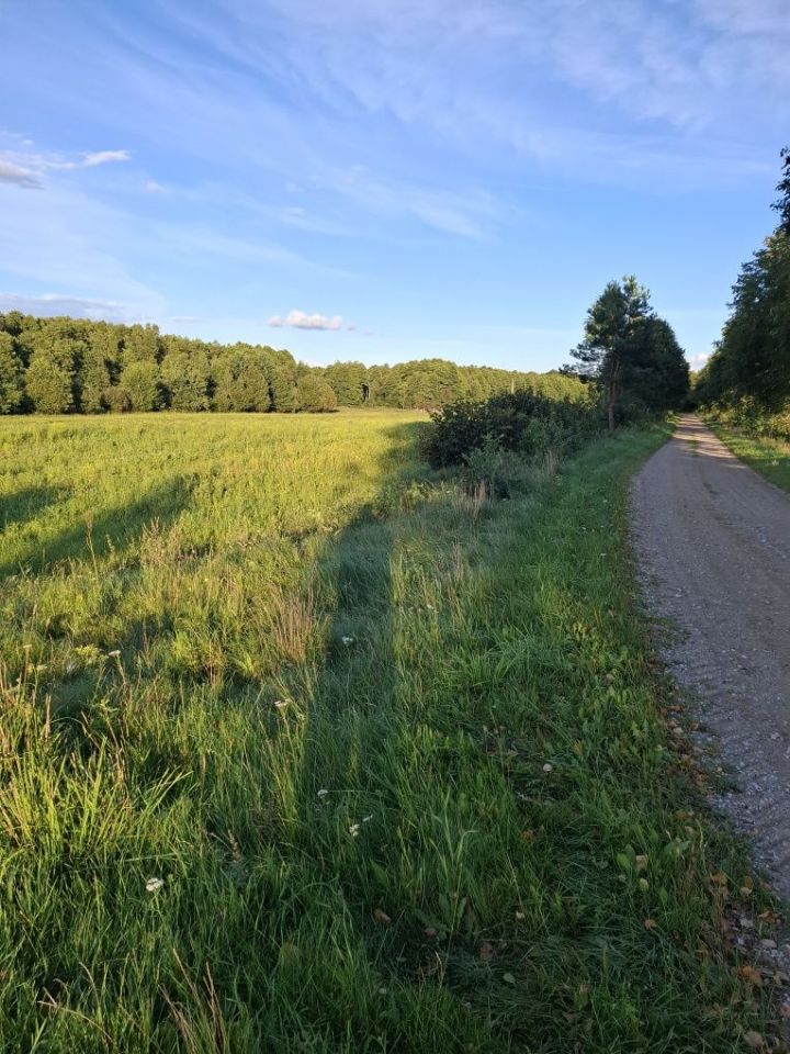 Działka rekreacyjna Sochy. Zdjęcie 3