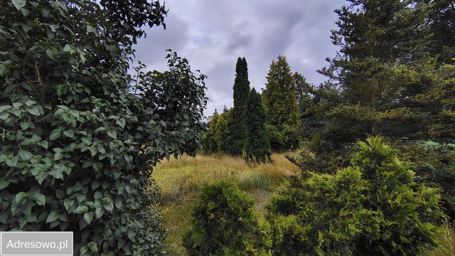 Działka budowlana Białobrzegi, ul. Wczasowa. Zdjęcie 9