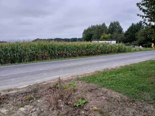 Działka budowlana Podstary Zamość. Zdjęcie 1