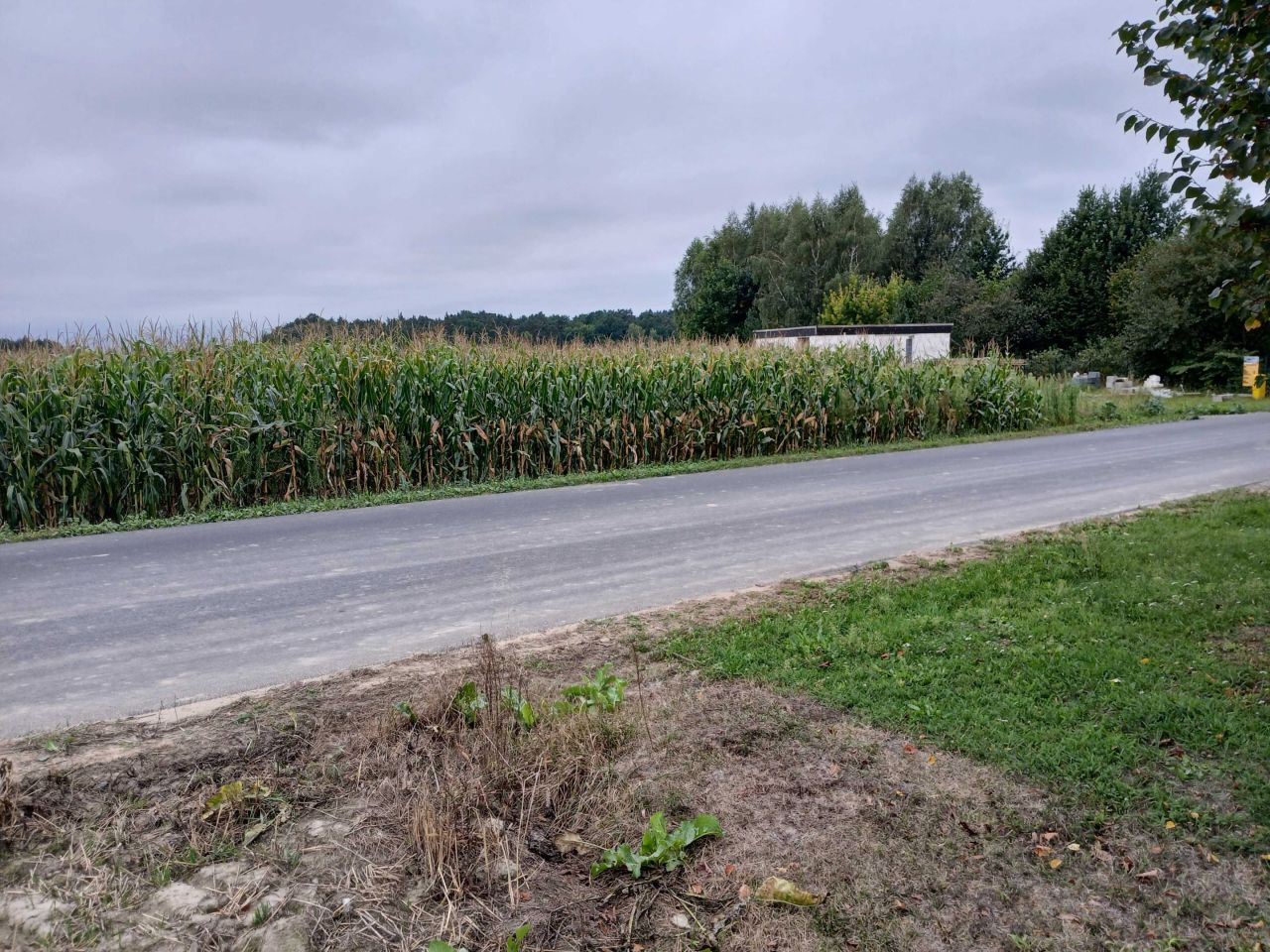 Działka budowlana Podstary Zamość